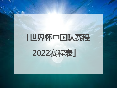 「世界杯中国队赛程2022赛程表」世界杯欧洲赛程2022赛程表