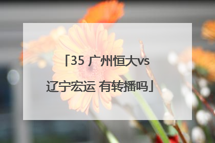 35 广州恒大vs辽宁宏运 有转播吗