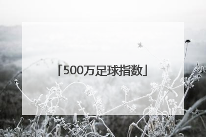 「500万足球指数」500万足球胜负彩