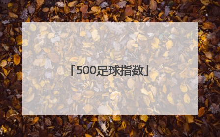 「500足球指数」华体足球指数